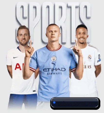 本站五个常用功能入口,赛程查询路径更短 - 多运动项目内容板块